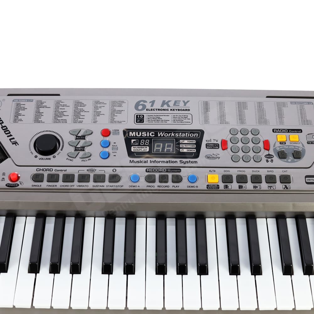detaliu orga electronica