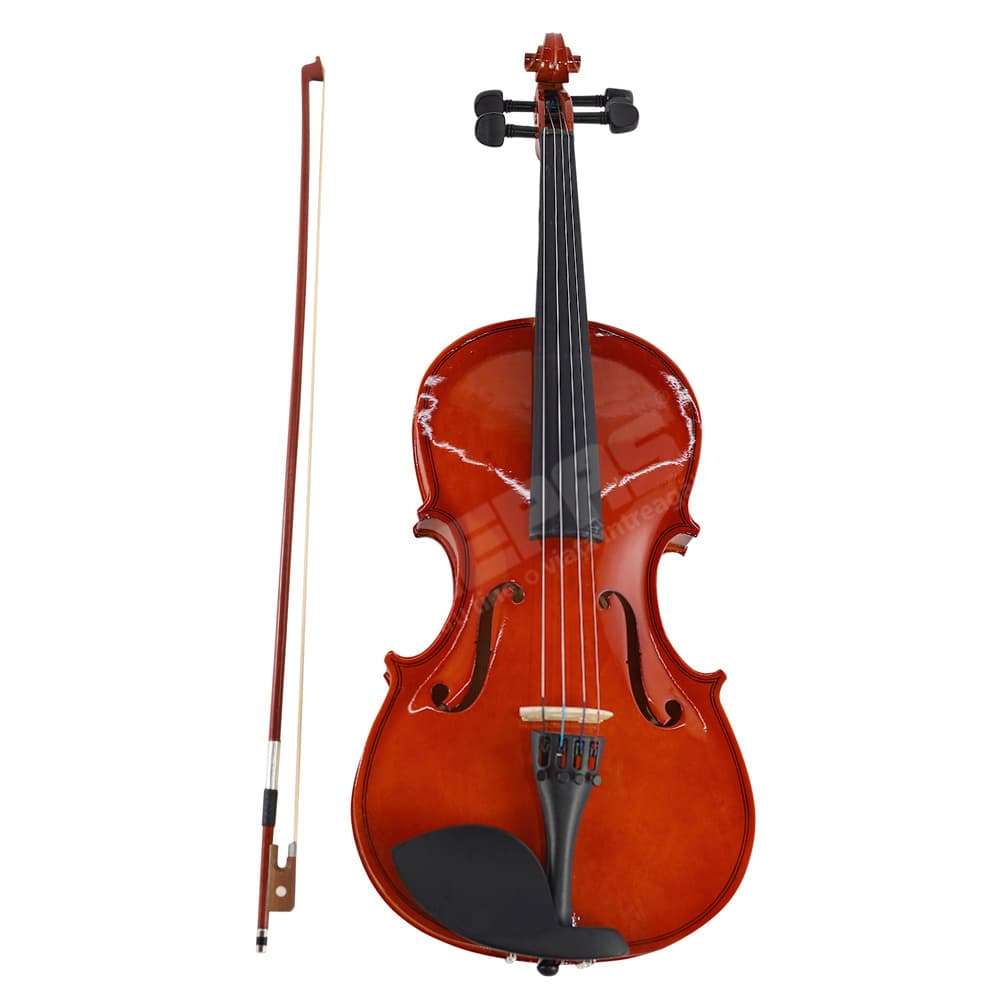 Violă