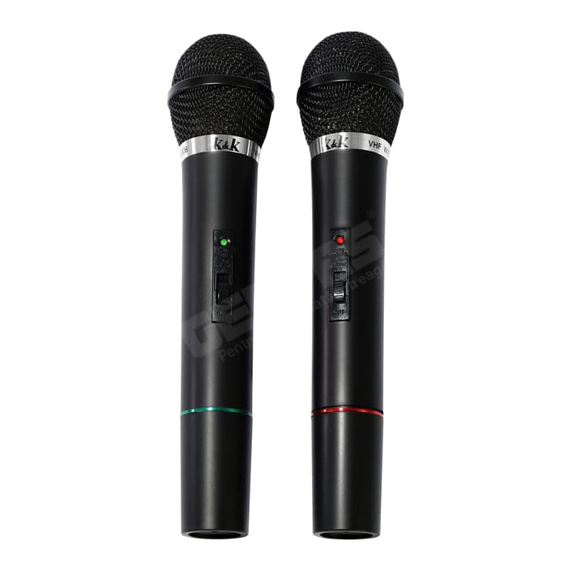 Set Microfoane Wireless AT-306