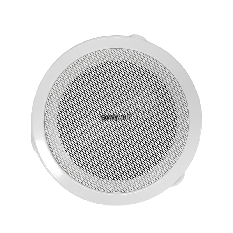Boxe pentru tavan-501/110V