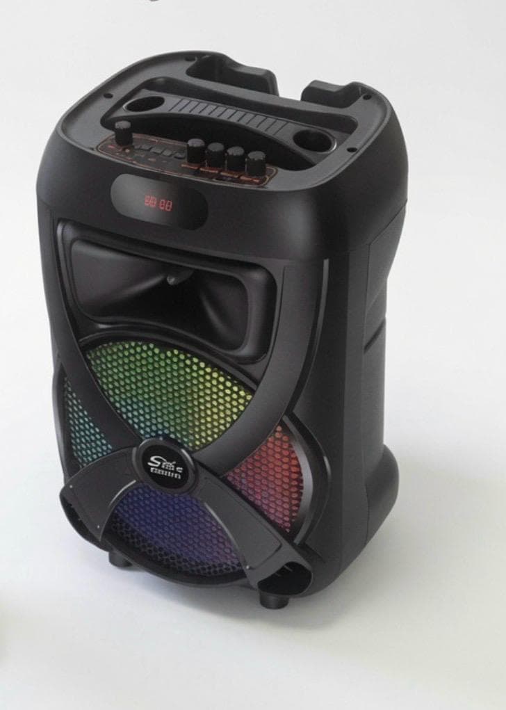 Boxa Portabilă cu acumulator Karaoke 12147